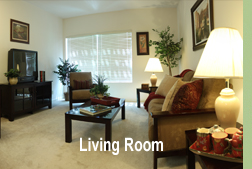 living room image